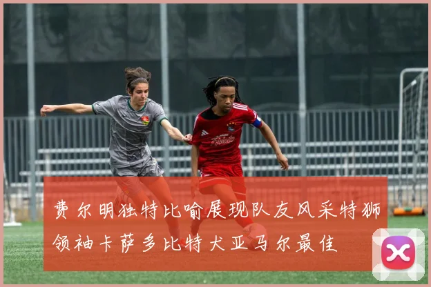 费尔明独特比喻展现队友风采特狮领袖卡萨多比特犬亚马尔最佳