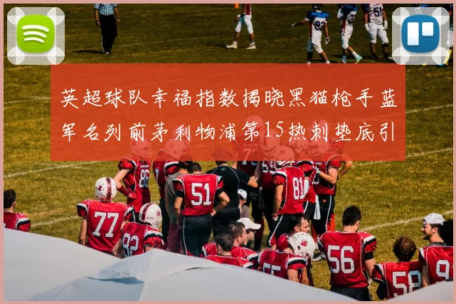英超球队幸福指数揭晓黑猫枪手蓝军名列前茅利物浦第15热刺垫底引关注