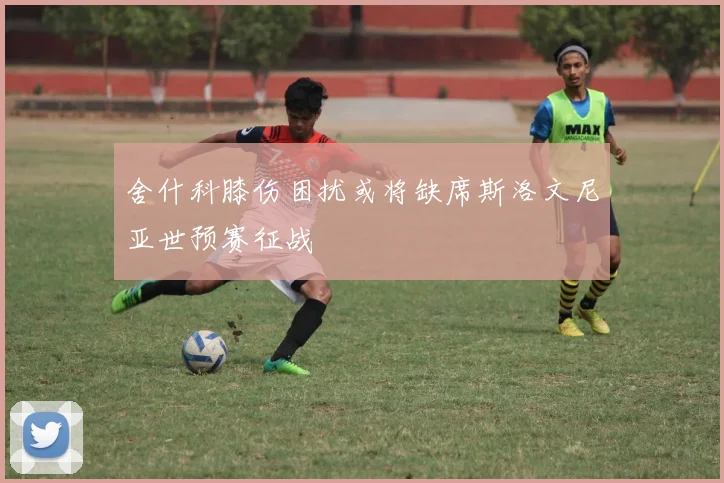 舍什科膝伤困扰或将缺席斯洛文尼亚世预赛征战
