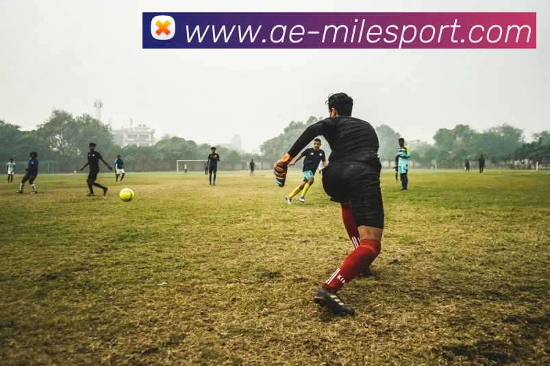 米乐足球服务体系